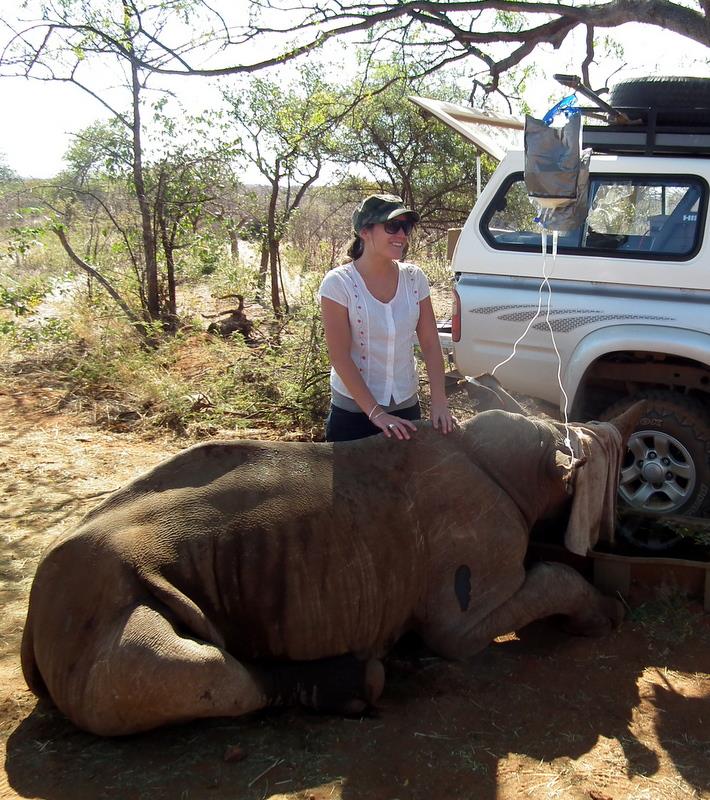 Wildlife Experience - Rhino