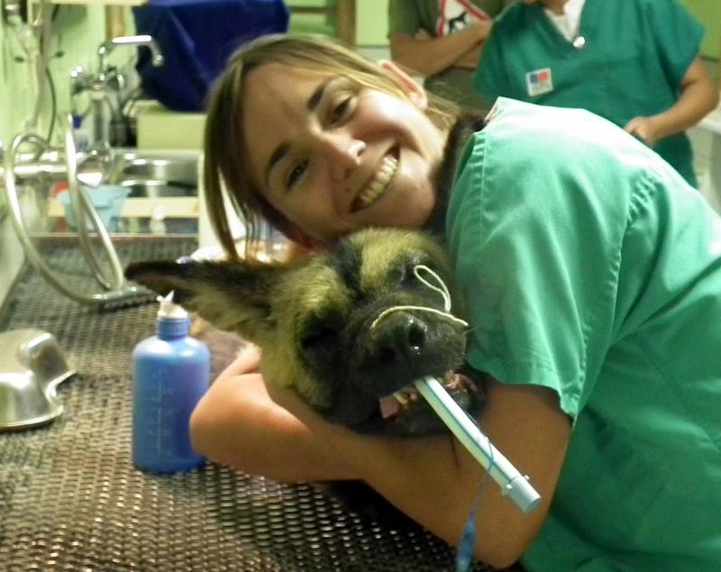 Wildlife Experience - Wild Dog